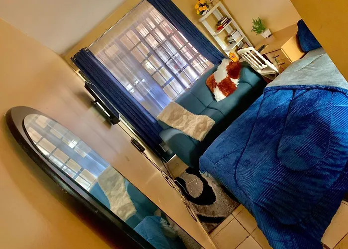 Comfort Studio